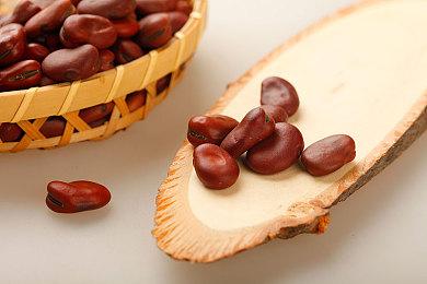 《高殿战记》第三幕剧情更新现已上线！探索全新地图迷蒙群山！